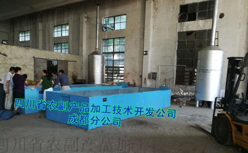 山楂干燥設(shè)備技術(shù)開(kāi)發(fā) 從傳統(tǒng)晾曬到智能化小型設(shè)備的演進(jìn)